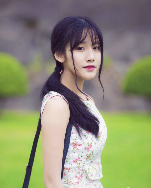 柳絮杨花