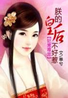 不该爱上先生